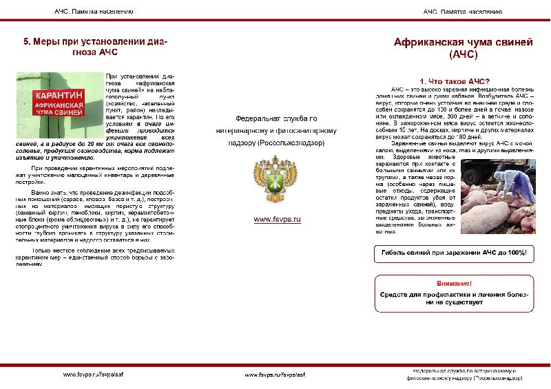 Африканская чума свиней (АЧС)