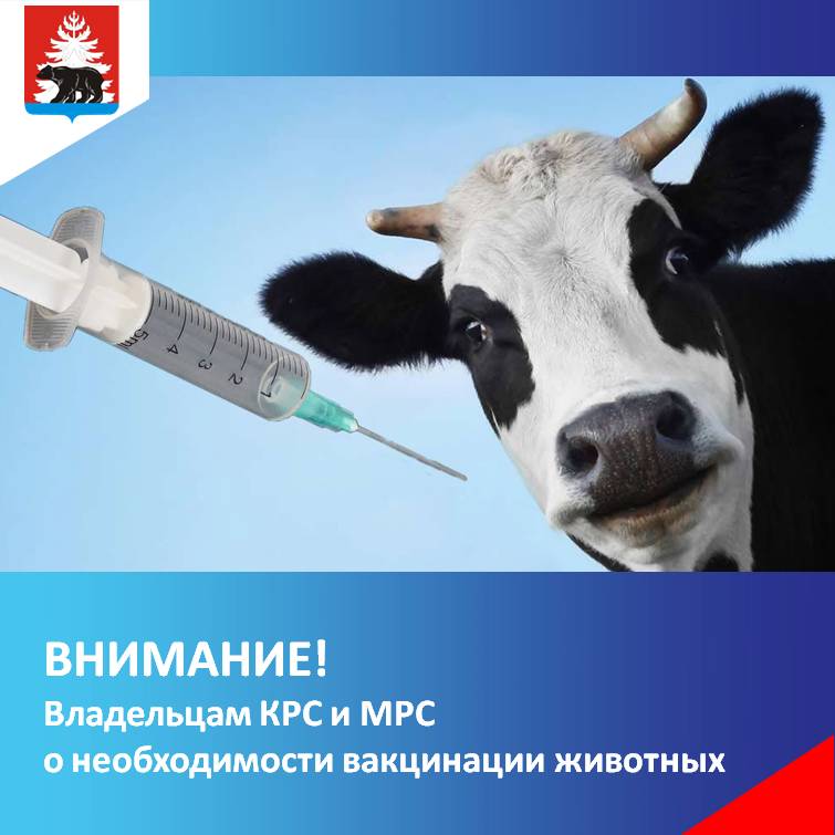 Владельцам КРС и МРС о необходимости вакцинации животных