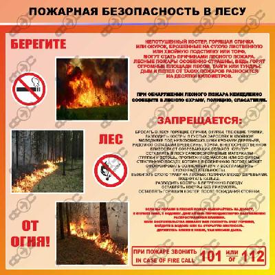 Памятка о правилах пожарной безопасности в лесу