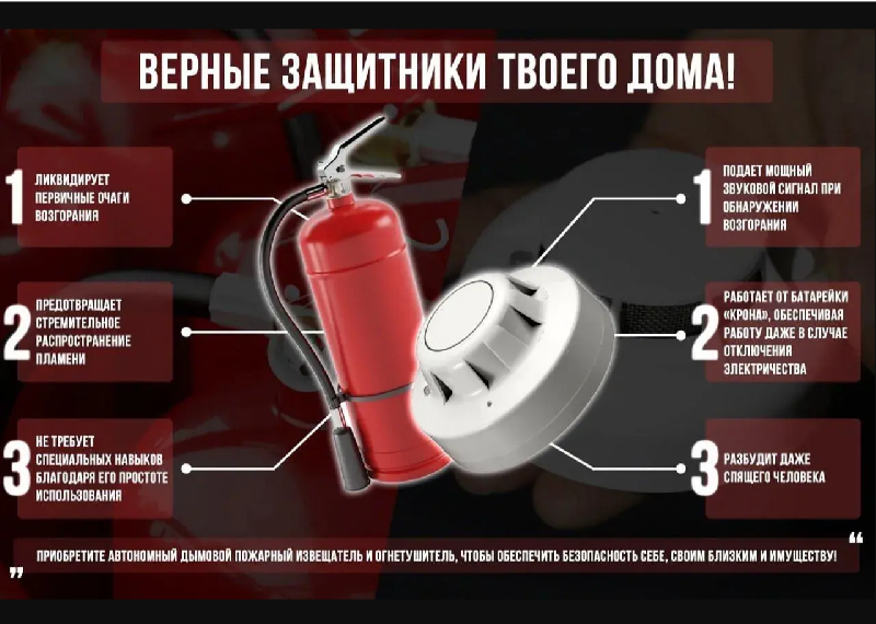 Верные защитники твоего дома