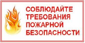     Снова гибель на пожарах. Причины пожаров с гибелью людей установлены