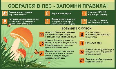 Собрался в лес - запомни правила