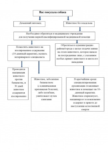 Служба ветеринарии Иркутской области информирует о Дополнительных требованиях к содержанию домашних собак