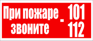 С начала года в Иркутской области произошло 1211 пожаров, погибли 69 человек, 37 человек пострадали на пожарах.