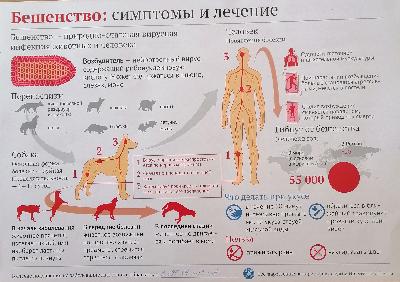 Объявление!