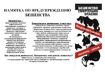 Памятка по предупреждению бешенства