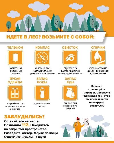 Идете в лес? Возьмите с собой: