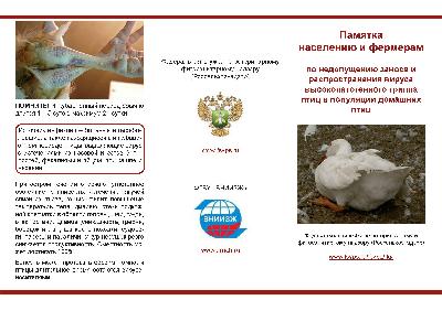 Грипп птиц