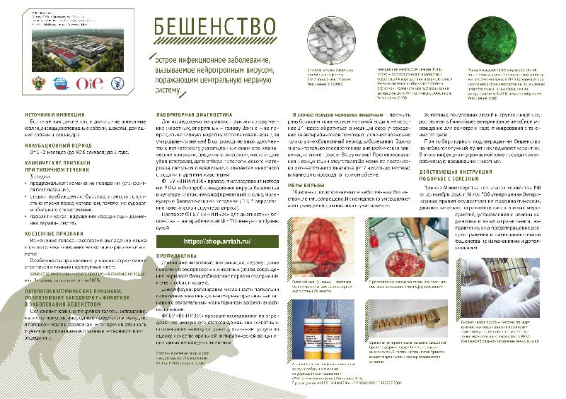 Внимание, бешенство!
