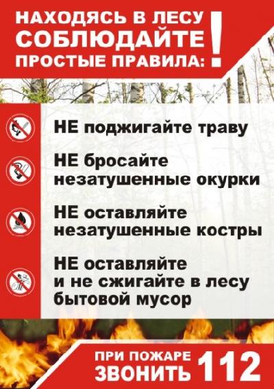 Находясь в лесу