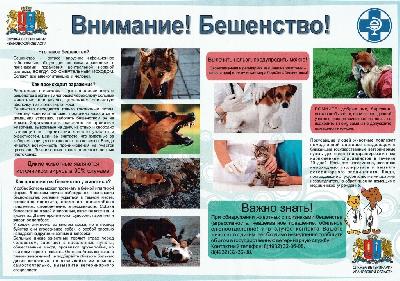 Внимание! Бешенство!