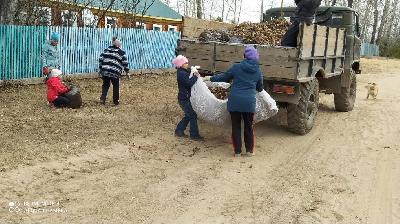 Уборка на участке Боровое