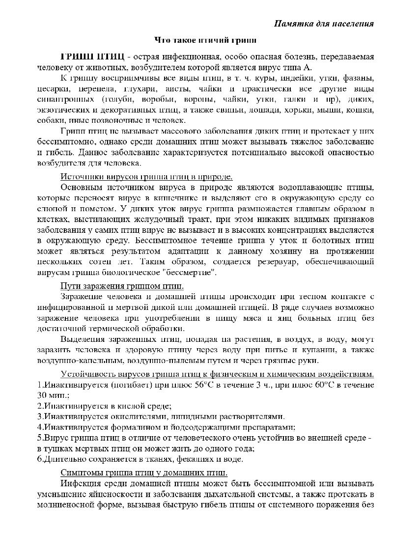 Что такое птичий грипп