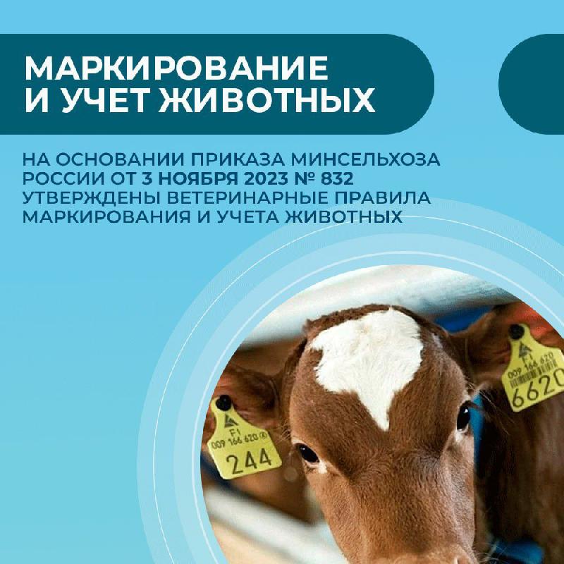 Маркирование и учет животных 